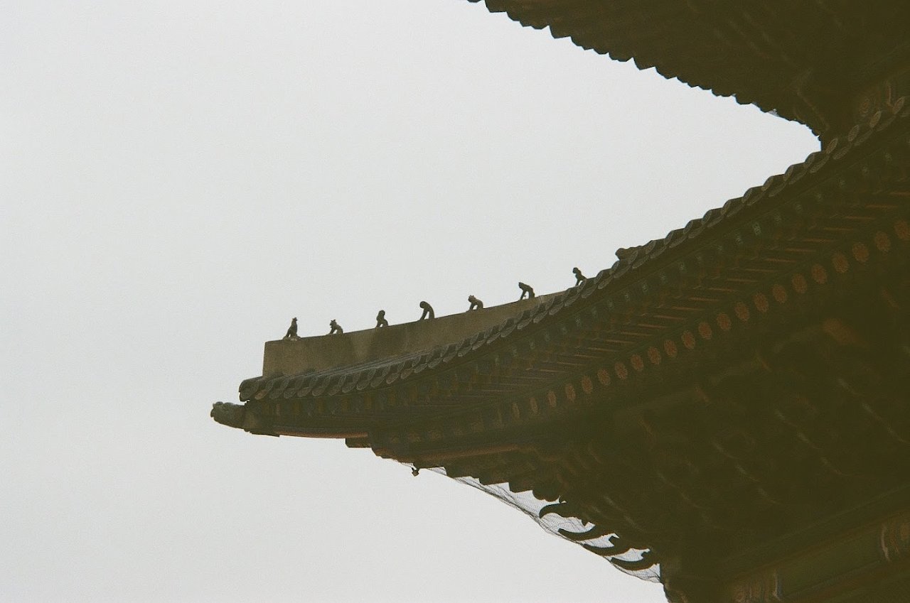 Japsang animals at the edge of a rooftop