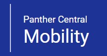 PittMobility Site Consultation Report
